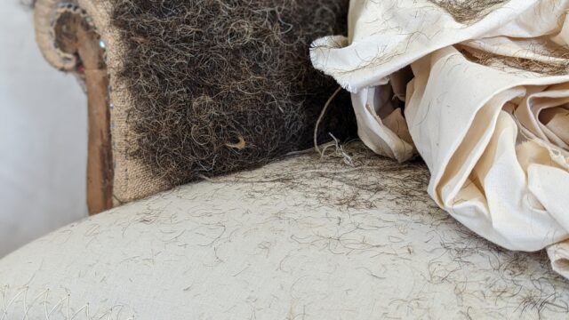 detail-traditional-upholstery-crapaud-french-hare-in-the-chair[1]